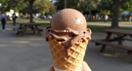11 Best Chocolate Ice Cream in 2026