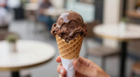 13 Best Chocolate Ice Creams in 2026