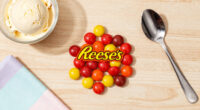13 Best Reese's Pieces Candies in 2026