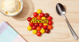 13 Best Reese's Pieces Candies in 2026