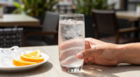 14 Best Canned Spritz Drinks in 2026