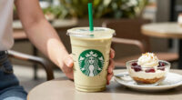 4 Best Starbucks Bearista Cups in 2026