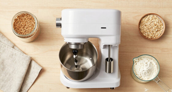 6 Best Stand Mixer Grain Mill Attachments in 2026