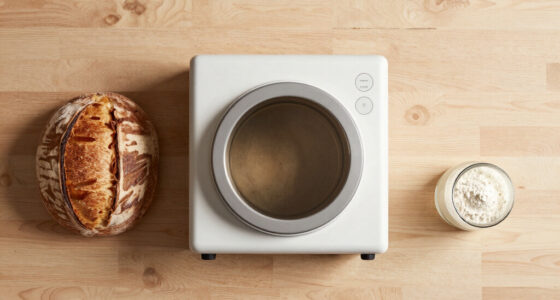 7 Best Baking Ovens for Sourdough in 2026
