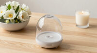 7 Best Home Fragrance Diffusers in 2026