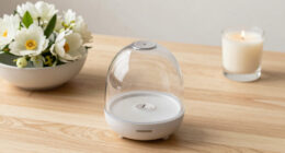 7 Best Home Fragrance Diffusers in 2026