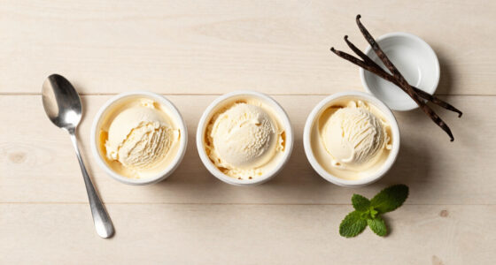 Chefs Agree: These Are the 3 Best Vanilla Ice Creams You Can Buy