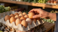 Midwest Poultry Services Egg Recall