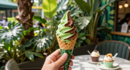 Rainforest Cafe Surges In Global Coverage