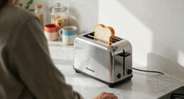 Us Canada Panasonic Toaster Recall