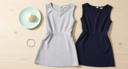 10 Best Dropped Waist Dresses in 2026